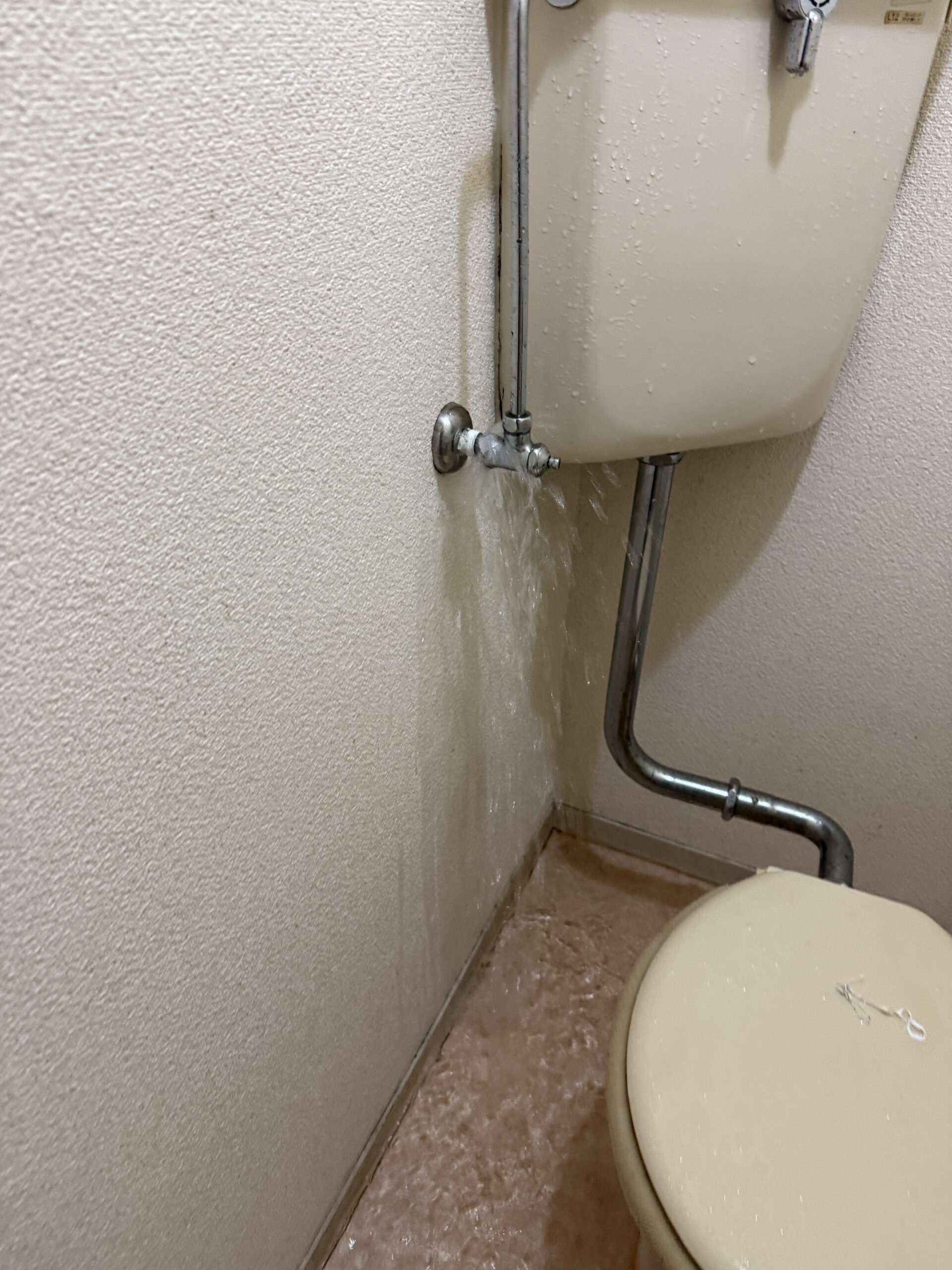 【松山市】トイレ止水栓の水漏れ修理