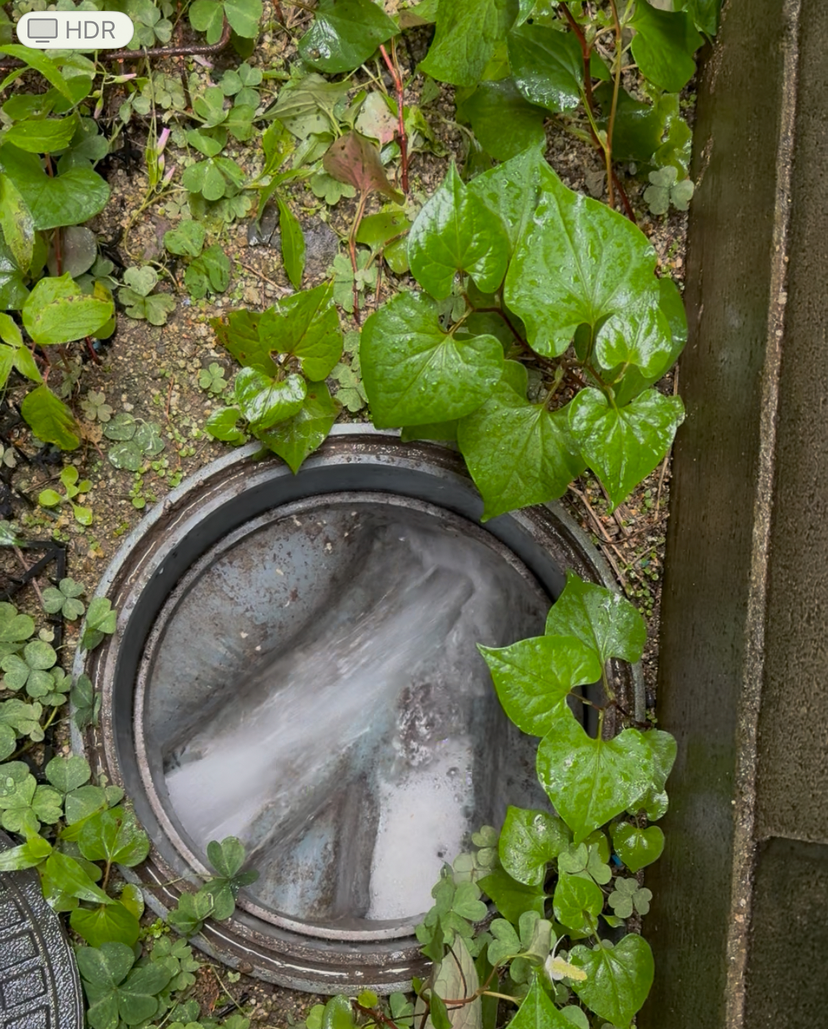 【松山市】2階トイレつまり除去