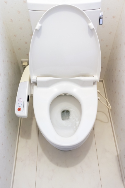 トイレつまりの豆知識:知らなかった意外な原因と解決策